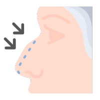 Nose Plastic Surgery